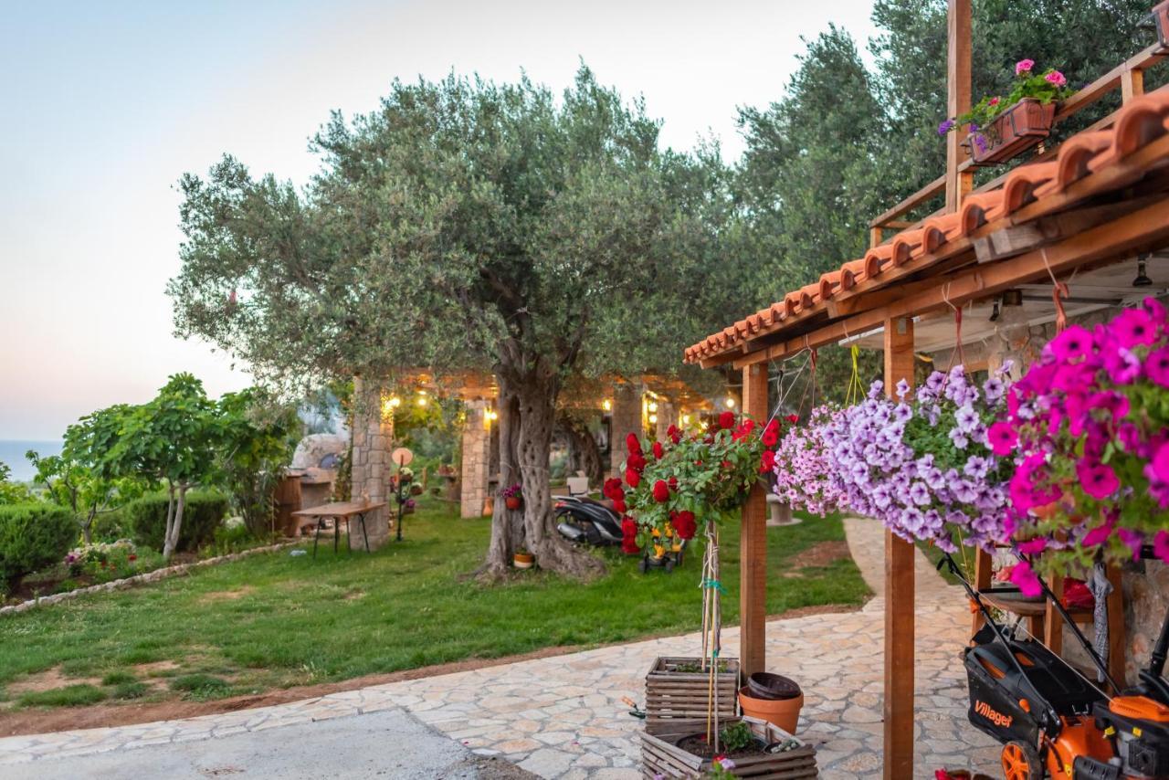 Holiday Park Olive Tree Улцинь Экстерьер фото