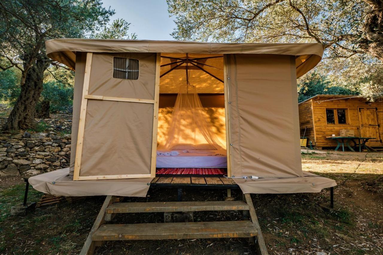Holiday Park Olive Tree Улцинь Экстерьер фото