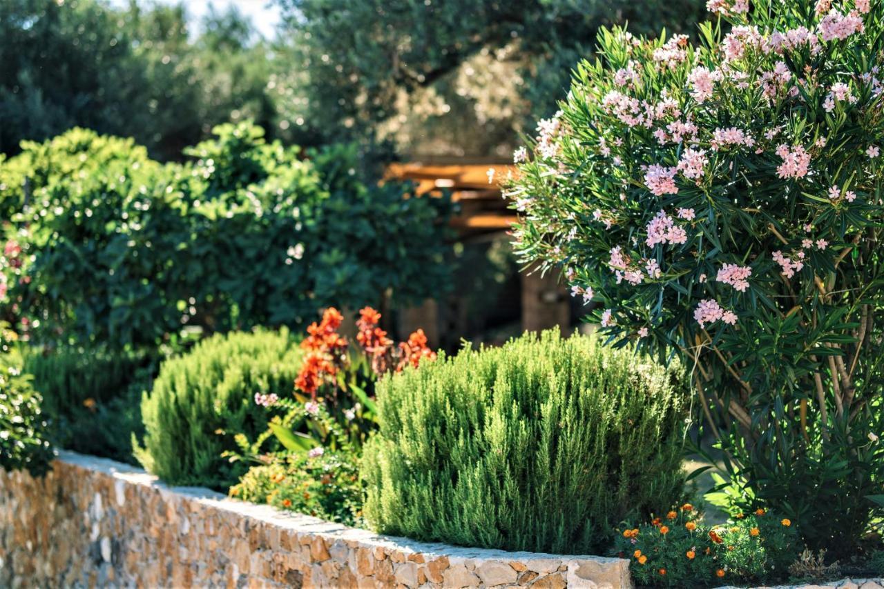Holiday Park Olive Tree Улцинь Экстерьер фото