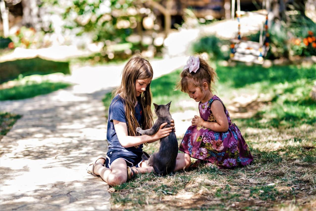 Holiday Park Olive Tree Улцинь Экстерьер фото
