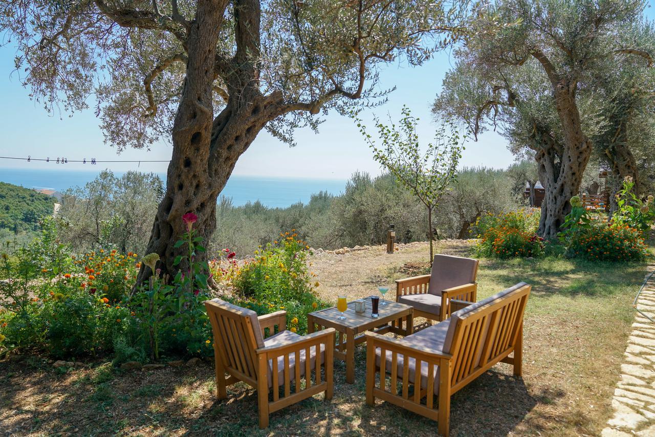 Holiday Park Olive Tree Улцинь Экстерьер фото