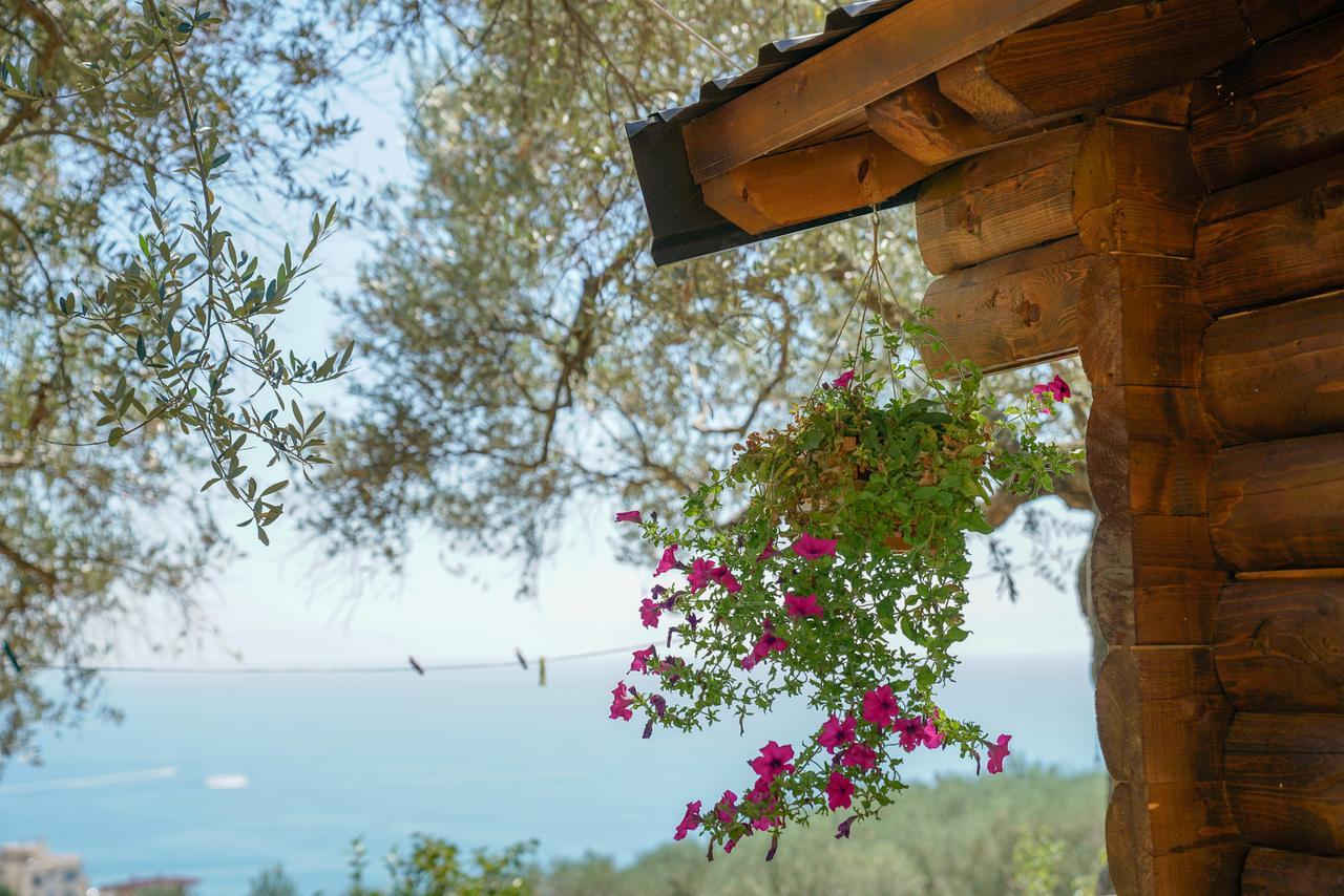 Holiday Park Olive Tree Улцинь Экстерьер фото